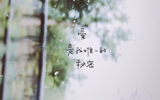 挽回前任的自我保护,如何有效地挽回前任？