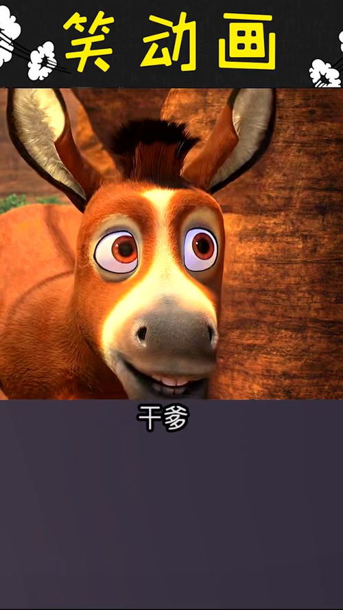 狮子男变心怎么挽回,挽回狮子男变心的方法