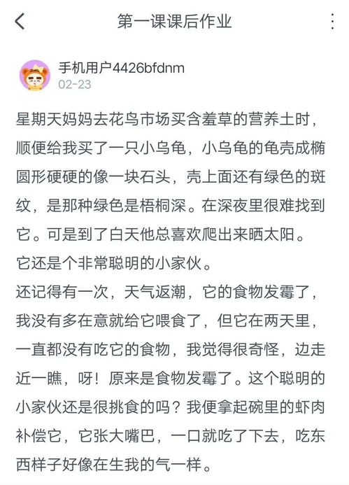 挽回天秤小作文,天秤座：反思过去，珍惜未来