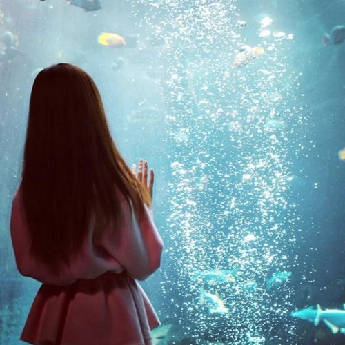 挽回前妻的头像女生,如何挽回前女友的心？