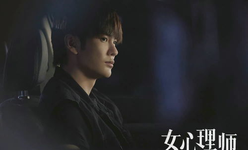 挽回弟弟电视剧,兄长回归：挽救失落的兄弟情