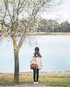 女人彻底死心难挽回,挽回无望，女人决心放手