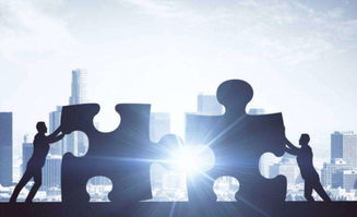 如何挽回公司资金链,救急：拯救公司资金困境！