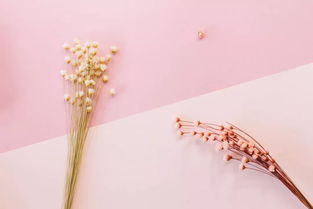 挽回失望的名句英文,寻回失落之美——重拾名言启示