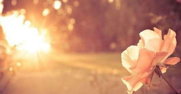 挽回前男友手势舞,重拾爱火，挽回前男友