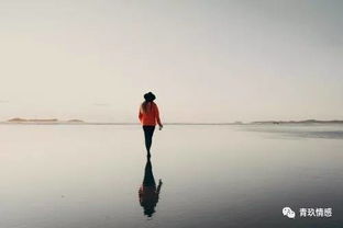 见面了挽回失败,挽回失败，两人见面无果