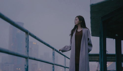 悔意挽回司年后续,挽回失误，重温爱情