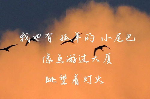 友谊破裂时怎么挽回,如何挽回友谊？