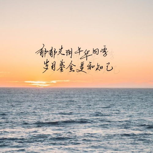 有没有适合挽回唱的歌,适合挽回的歌曲推荐