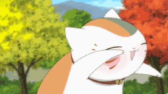 白羊怎么挽回狮子女,如何让狮女重新爱上白羊