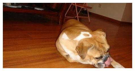 单身狗挽回自信电影,重拾自信，单身也精彩