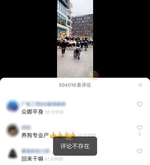 快手拉黑怎么挽回,拉黑快手如何挽回？