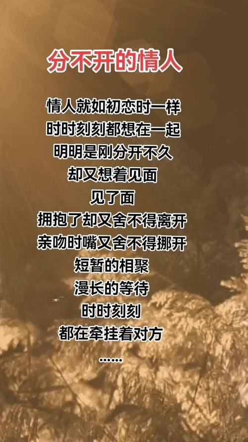 挽回感情套餐文案短句,重振爱情，一套解方案)