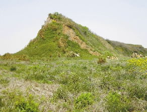 暴雨后如何挽回草坪,如何修复被暴雨破坏的草坪