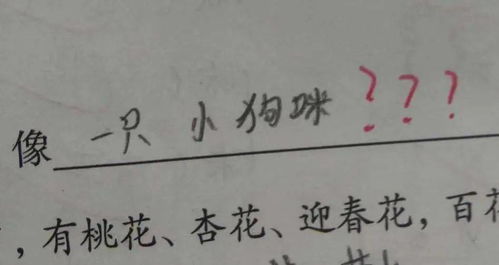 表达想挽回的文案短句，失去了TA，我该怎么办？-重新创造我们的故事