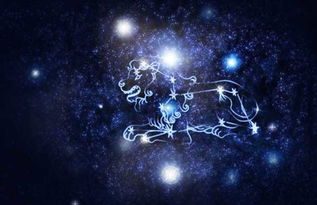 怎么挽回狮子的女生,如何挽回狮子座的恋人？