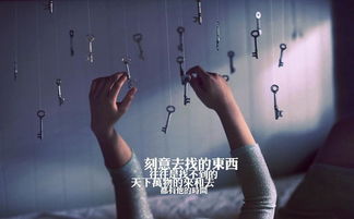 有关失恋挽回的图文,失恋挽回，成功秘诀大揭秘