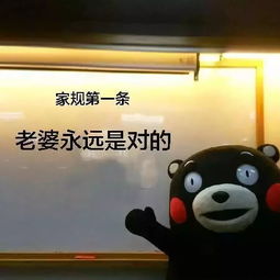 情感挽回文案馆,怎样用情感挽回技巧赢回TA的心？