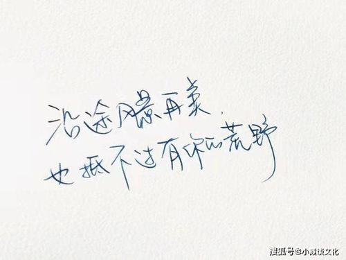 抖音挽回爱情的句子，如何用抖音拯救恋爱？