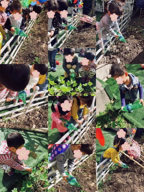 堆肥失败了怎么挽回，如何重新振兴堆肥？