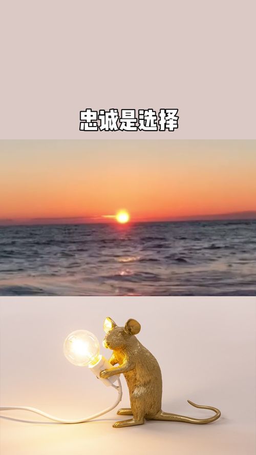 怎么挽回男人的心意,如何挽回男人的心——40字以内