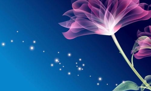 射手座情感挽回,挽回射手座感情