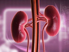 胎儿心跳停止怎么挽回,怎样挽救胎儿心跳停止？