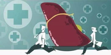 托付心理分手如何挽回,挽回分手：心理策略大揭秘