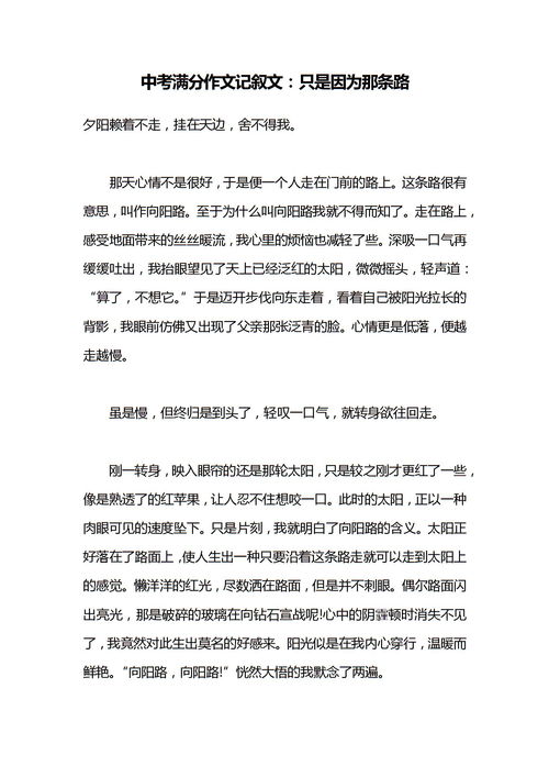 友谊挽回的作文600,友谊的重修之路