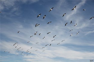 无力挽回却不肯放手,留恋无法挽回，放手不易