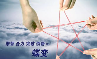 牵手教育挽回技巧,教你教育黏人绕回训练法