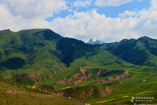 闽侯情感挽回哪里有,闽侯情感挽回服务哪里找