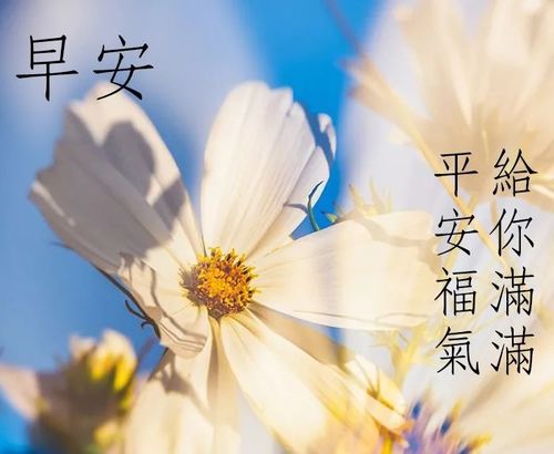 挽回早安朋友圈,早安祝福，陪你开启新的一天