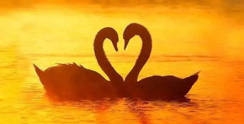 挽回最关键的方法,如何挽回TA的心，最关键的方法