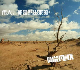 怎么挽回人格缺陷,挽救自我的重建之路