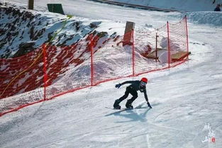 雪地女王要挽回吗,雪地女王是否会挽回？