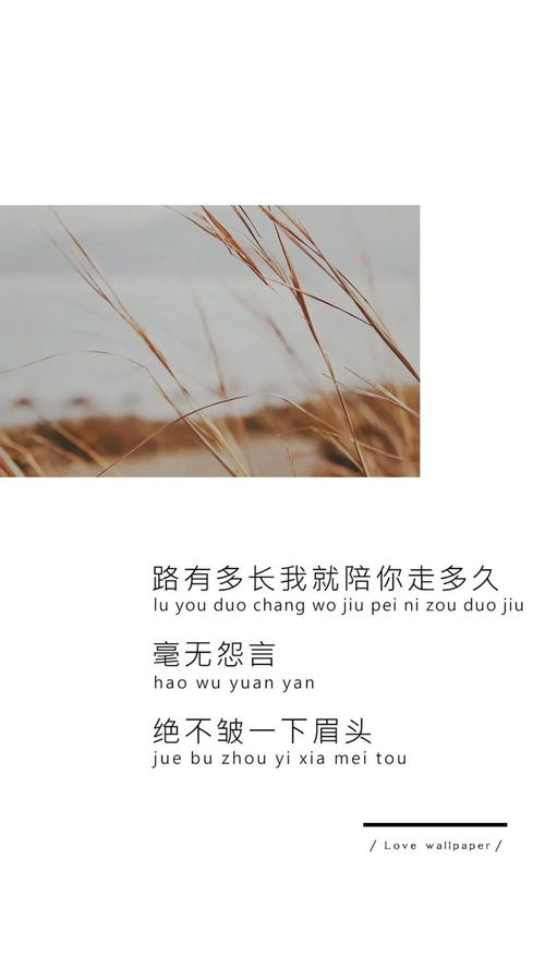 卑微挽回不了爱情的诗句，爱情难回头，卑微也会走向辉煌