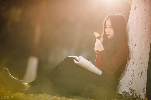 挽回的创意点,挽回爱情，改变命运