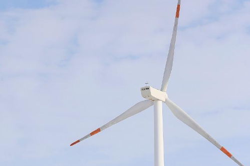 挽回白羊女的方法,挽回白羊女的有效方法