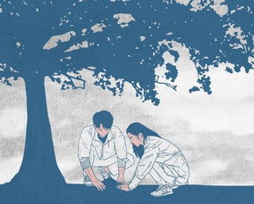 背叛后无法挽回，感情出轨，婚姻已成残局