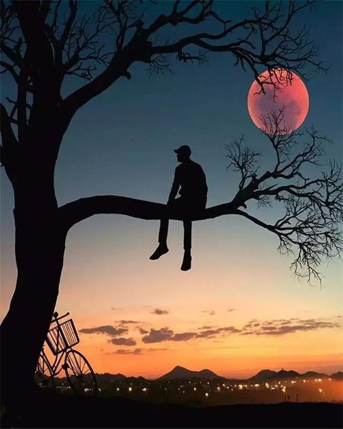 挽回情人的句子伤感,失去挽回，痛彻心扉