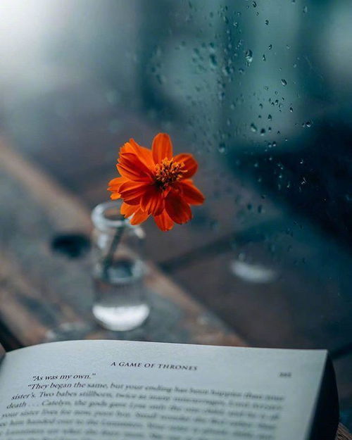 真心挽回心寒的古文，用真心犯错，靠真挚情感抚平心灵的另一篇文言标题