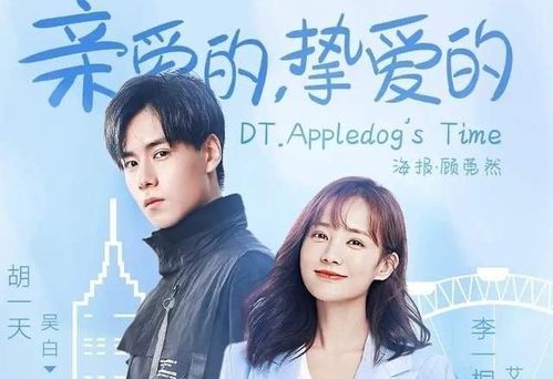 重生挽回挚爱的小说，重生重启初恋路