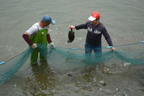 渔灾过后怎么挽回,渔民如何挽回灾后生计