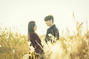 挽回之路电视剧,挽回之路：重拾爱火