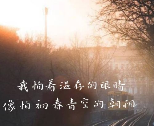 挽回爱情的浪漫诗句,挽回爱情，诉说心声