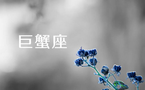 怎么挽回摩羯座男生心,如何挽回一个摩羯男心