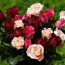 挽回花了好几千,如何挽回花费数千的浪费？