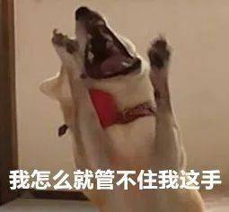 抖音包姐挽回，抖音教父情感大片：包姐艰难挽回