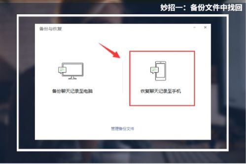 如何挽回删掉的照片,如何恢复被删除的照片？40字以内。
